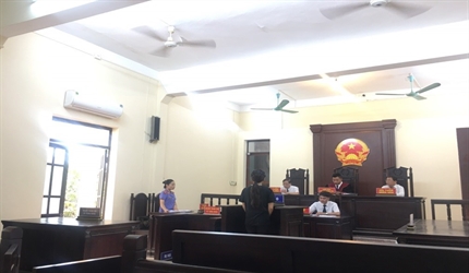 Viện kiểm sát - Tòa án nhân dân huyện Mỹ Đức phối hợp tổ chức các phiên...